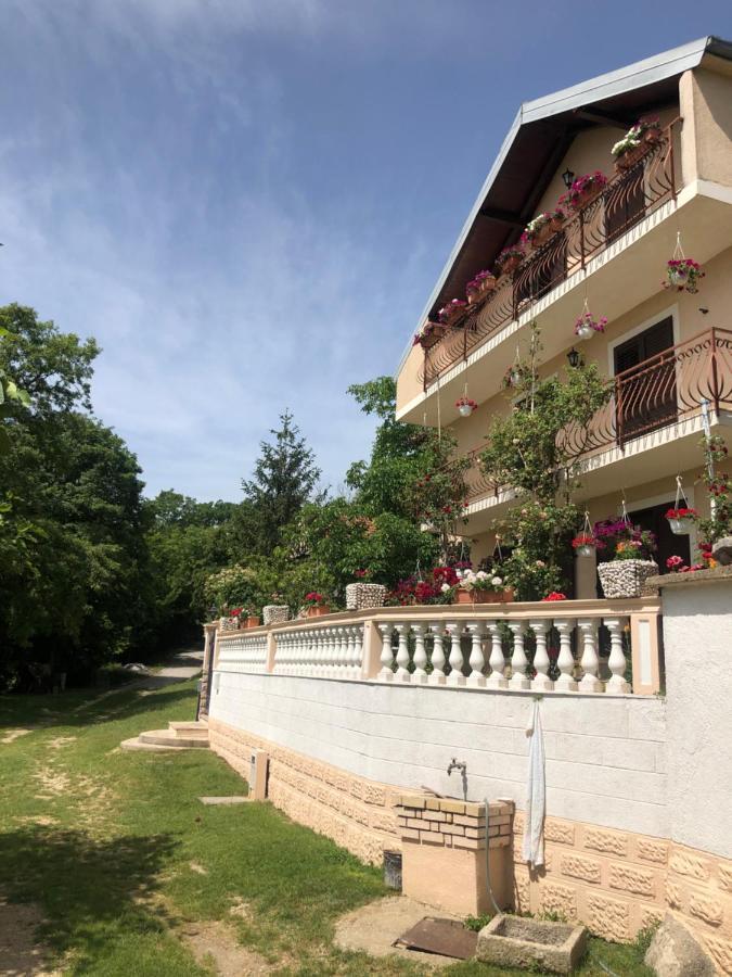 Apartman Ana Apartment Vrlika Bagian luar foto